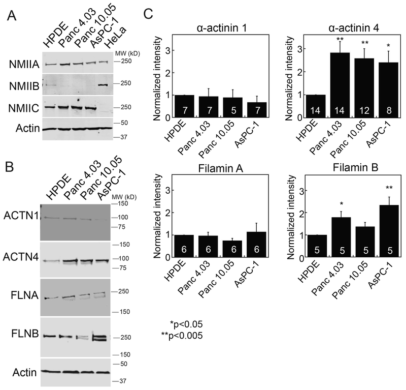 Fig. 3: