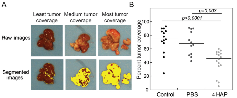 Fig. 6: