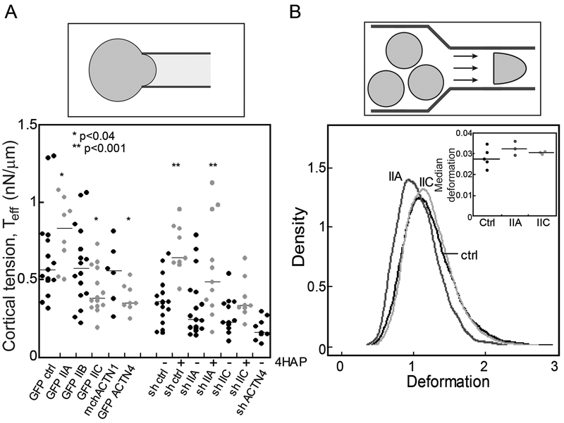 Fig. 4: