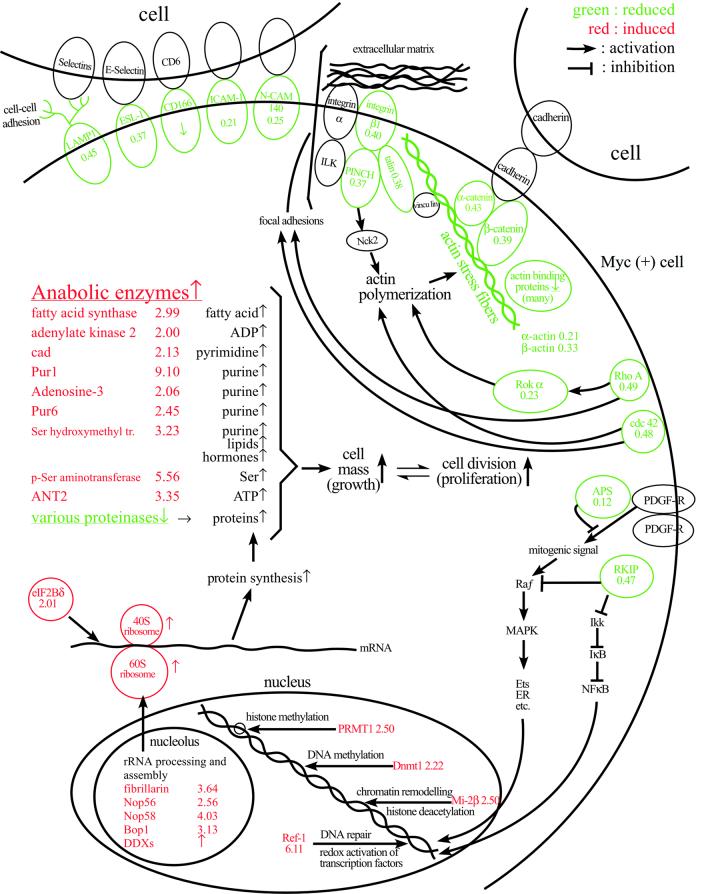 graphic file with name cdf525f3.jpg