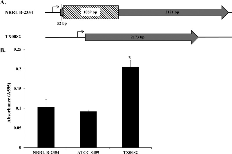 FIG 4