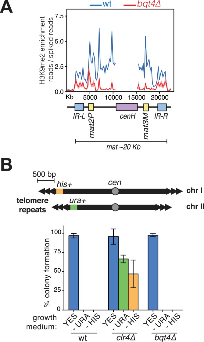 Figure 7—figure supplement 2.