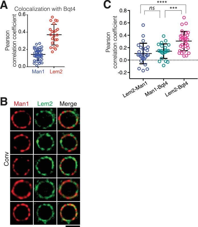 Figure 1—figure supplement 1.