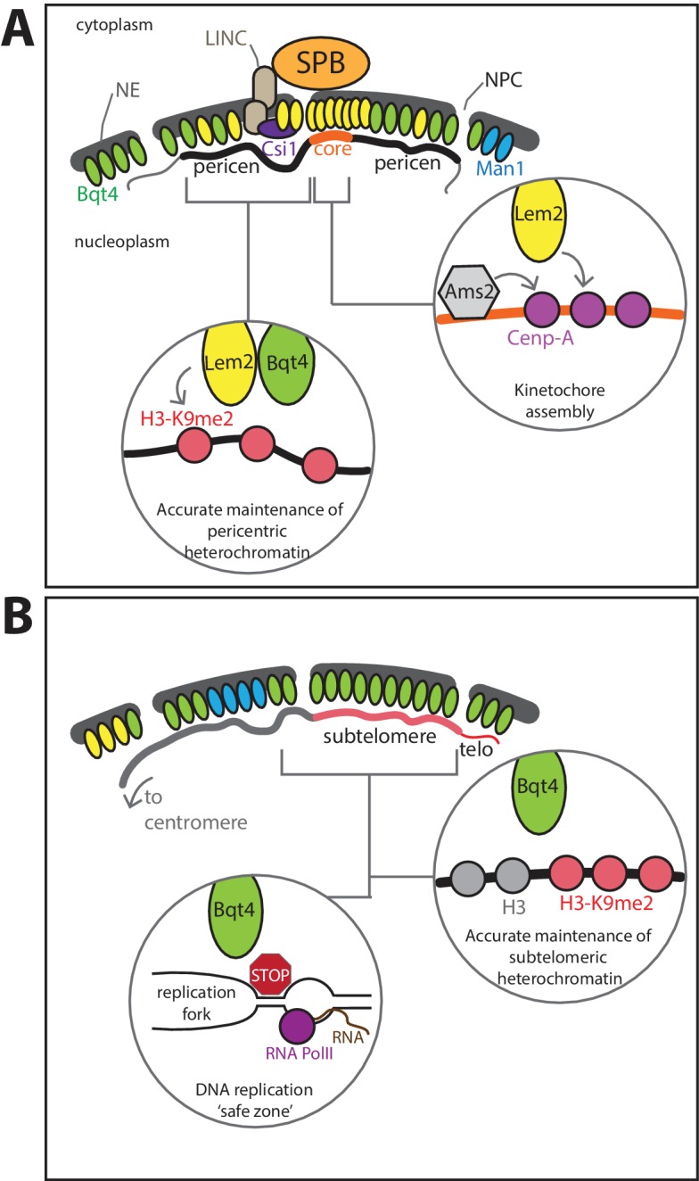 Figure 9.