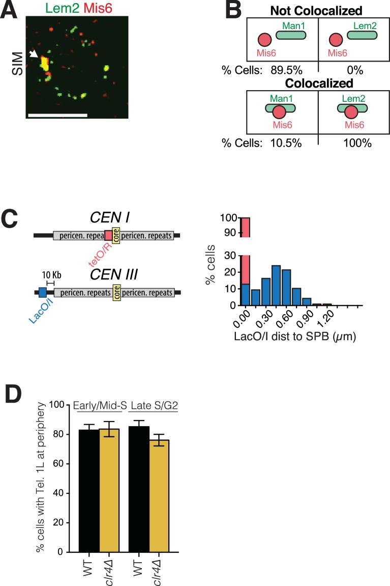 Figure 4—figure supplement 1.