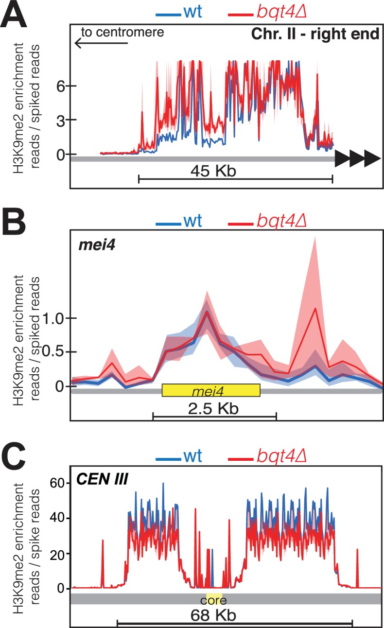 Figure 7—figure supplement 1.