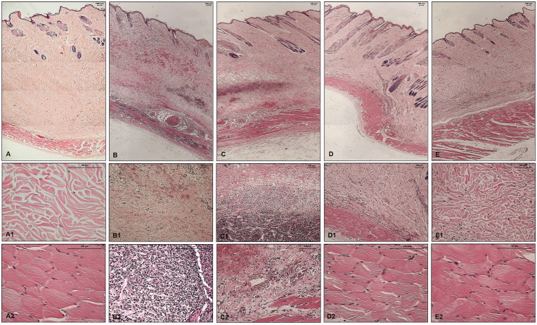 Figure 6.