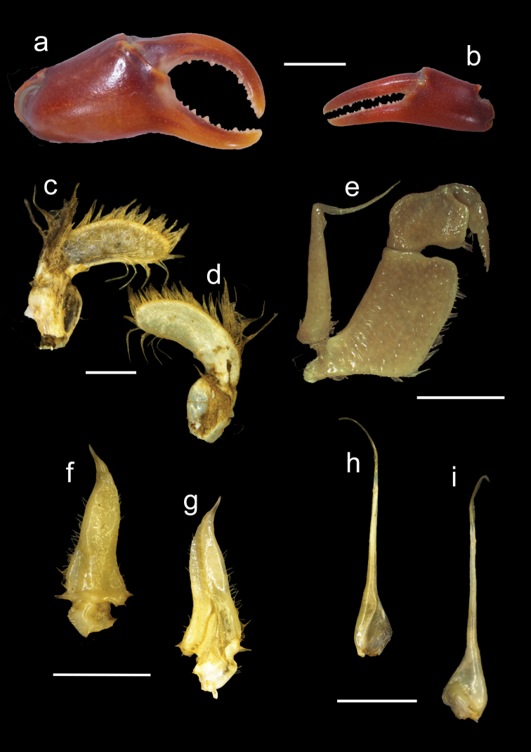 Figure 5.