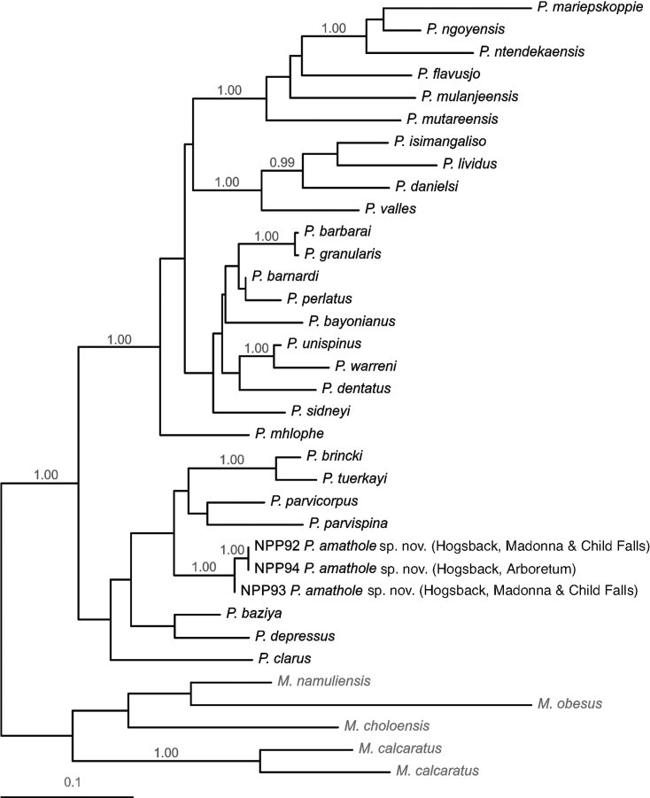 Figure 3.