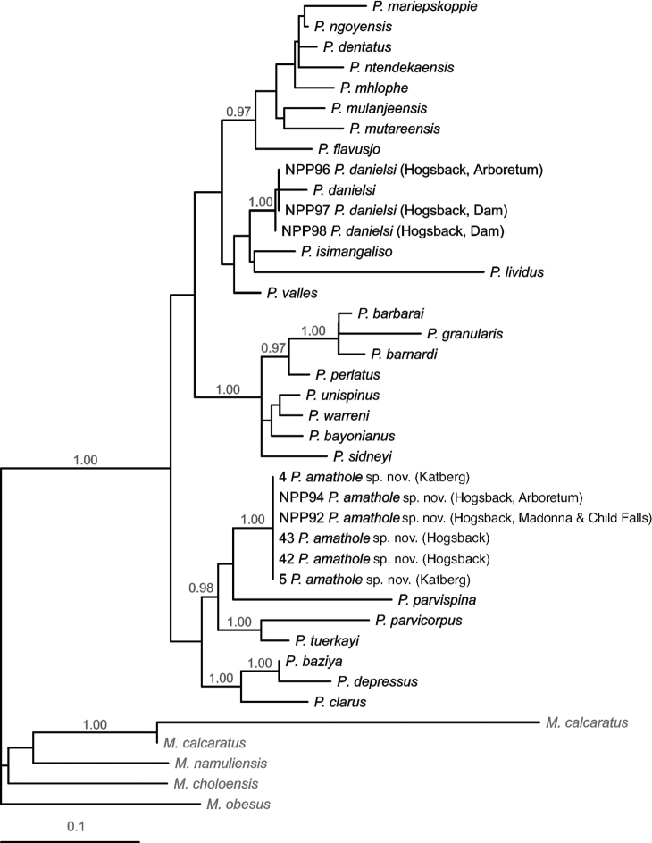 Figure 2.