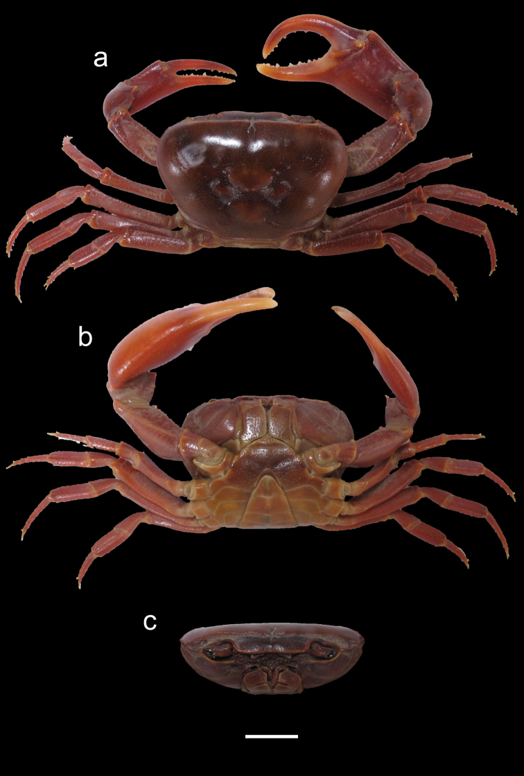 Figure 4.