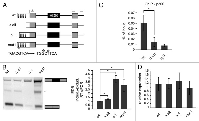 graphic file with name rna-11-865-g2.jpg