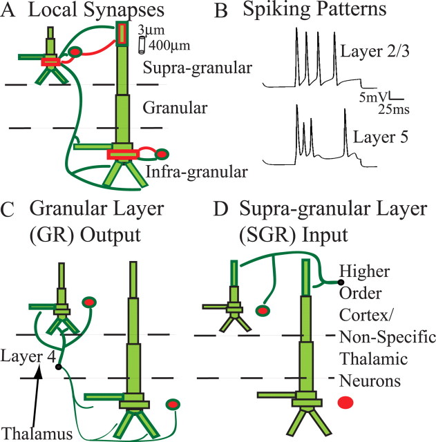 Figure 2.