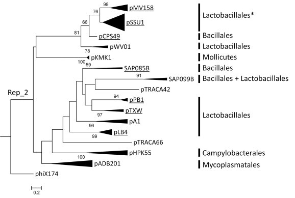 Supplementary Fig. S1