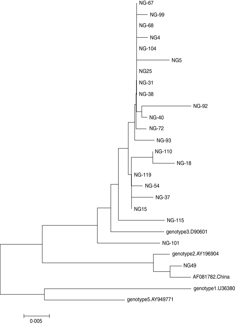 Fig. 3.