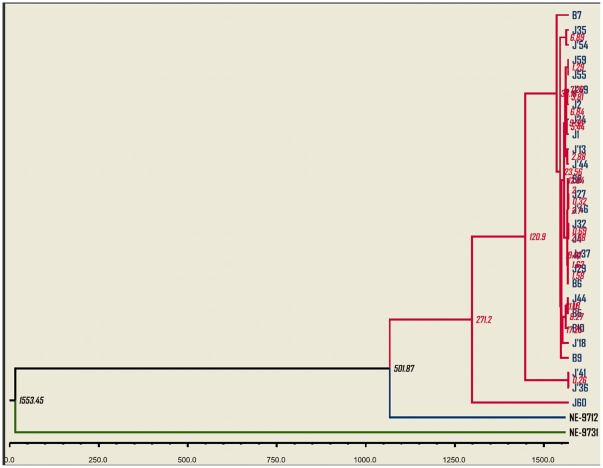 Figure 6