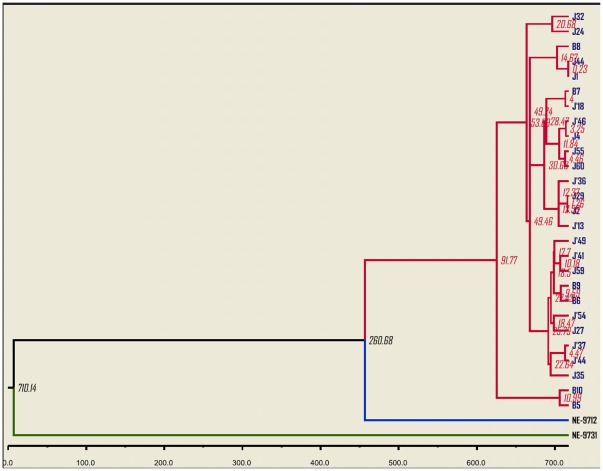 Figure 7