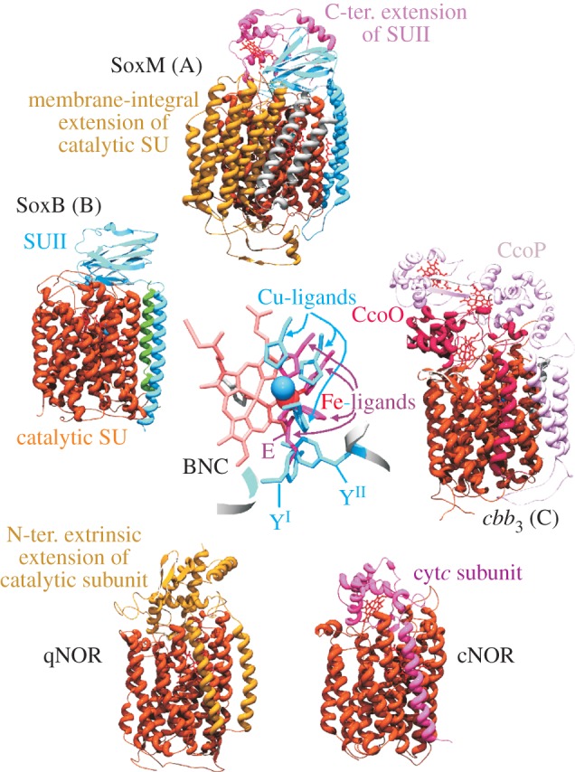 Figure 3.