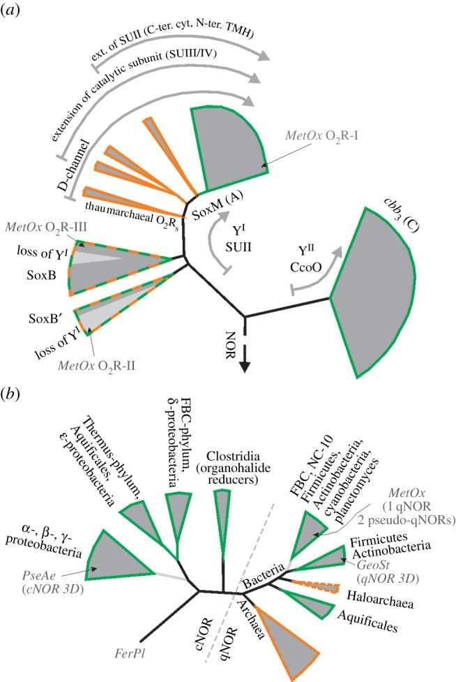 Figure 7.