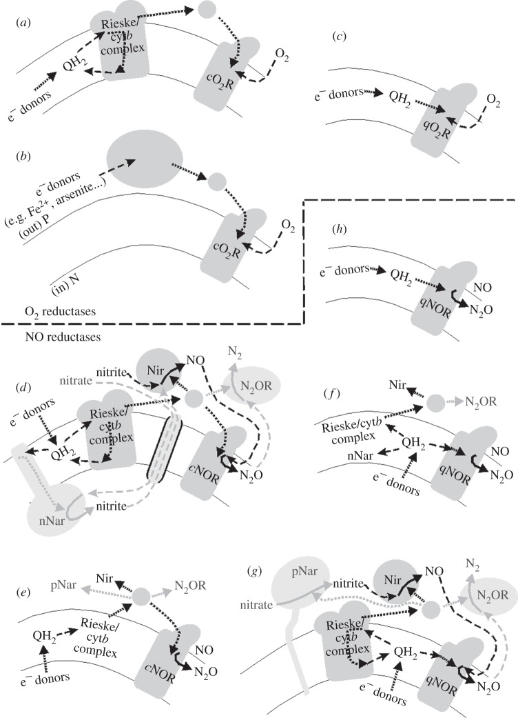 Figure 1.