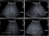 Fig.2