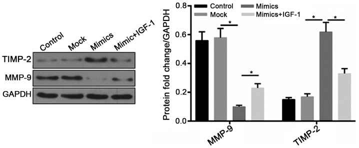 Figure 5.