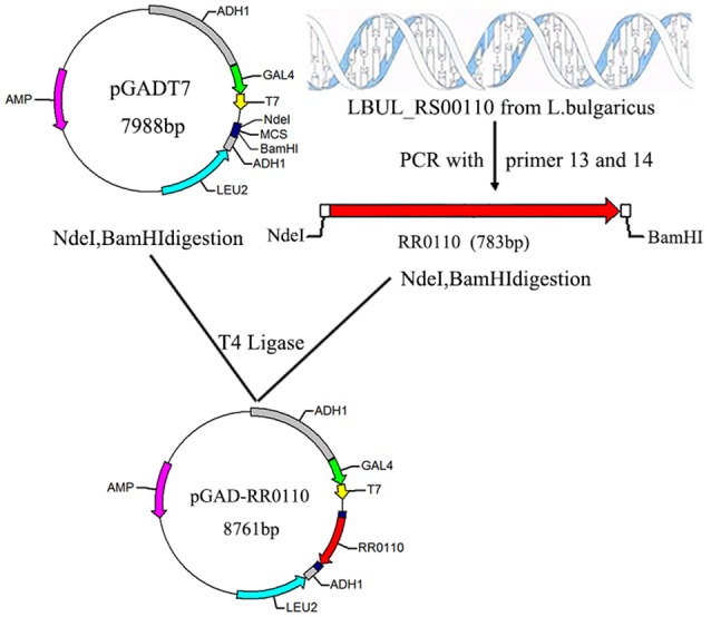 Figure 4