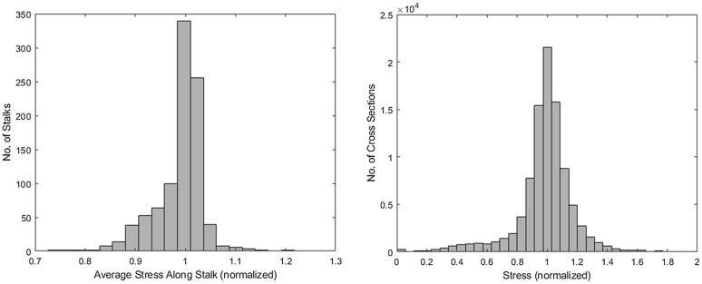 Fig. 7