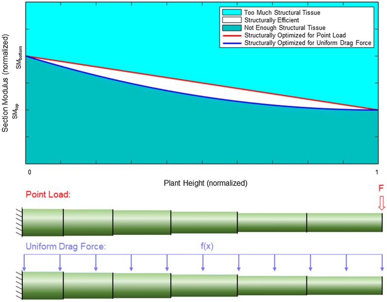 Fig. 1