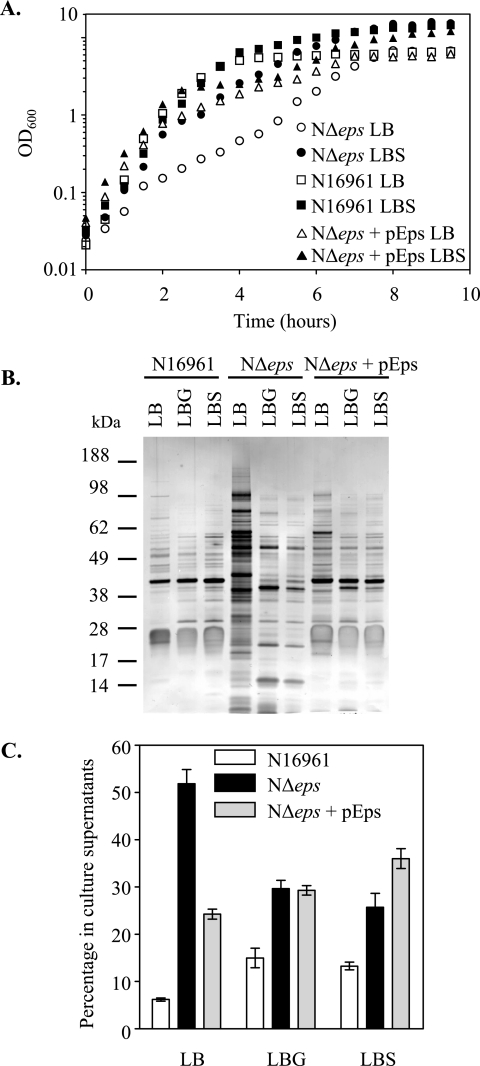 FIG. 6.