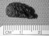 Figure 1)