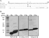 FIG 1