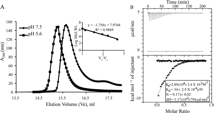 FIG 6