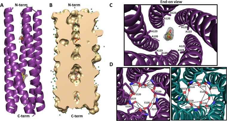 FIG 5