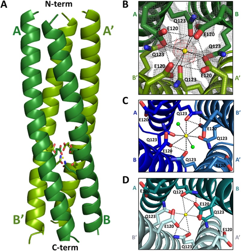 FIG 4