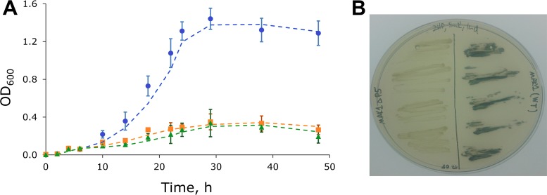 FIG 2