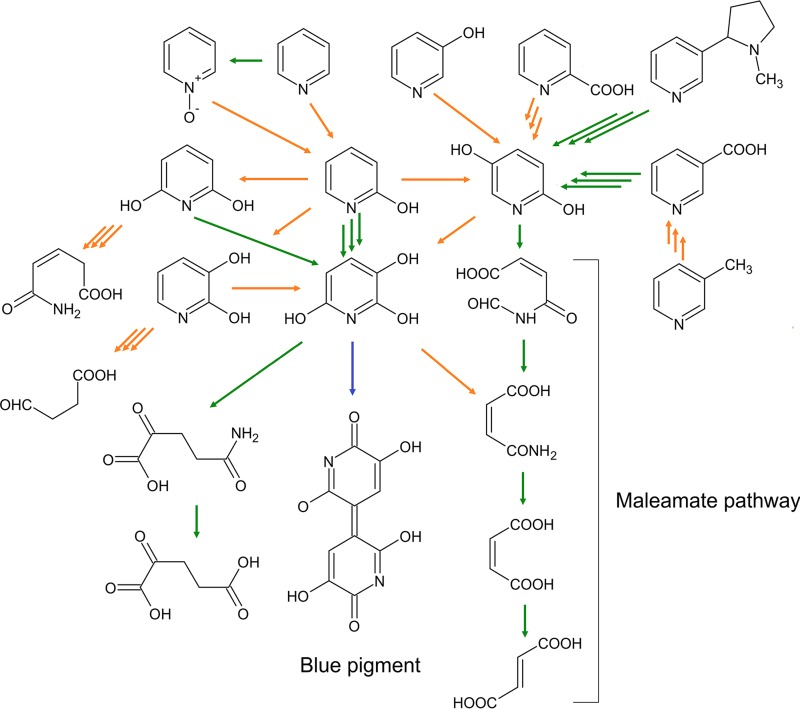 FIG 1