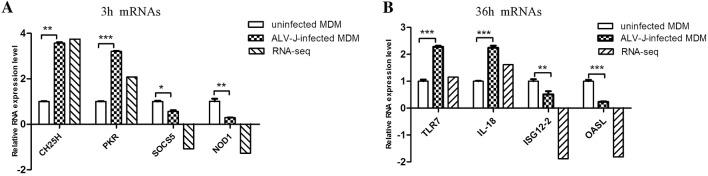 Figure 6