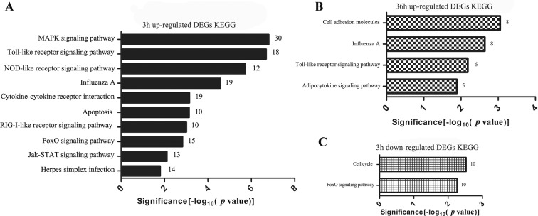 Figure 4