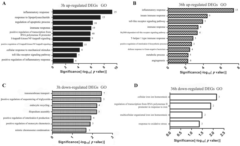 Figure 3