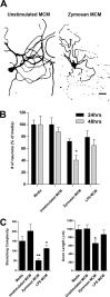 Figure 11.