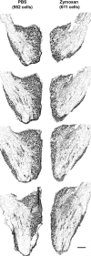 Figure 8.