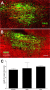 Figure 13.