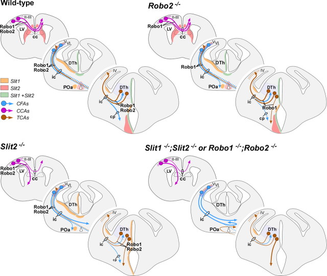 Figure 11.