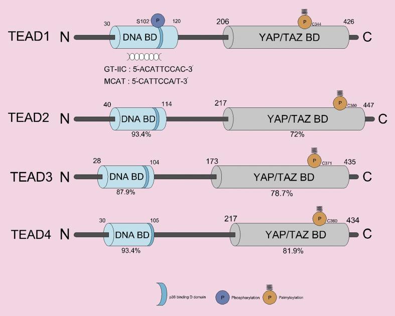 Fig. 4