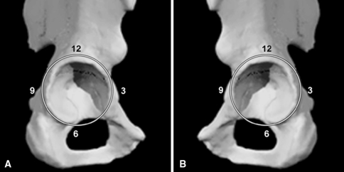 Fig. 1A–B