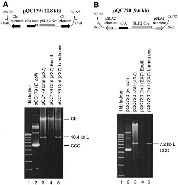 FIG. 6.