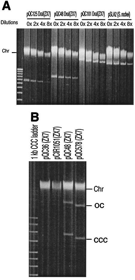 FIG. 5.