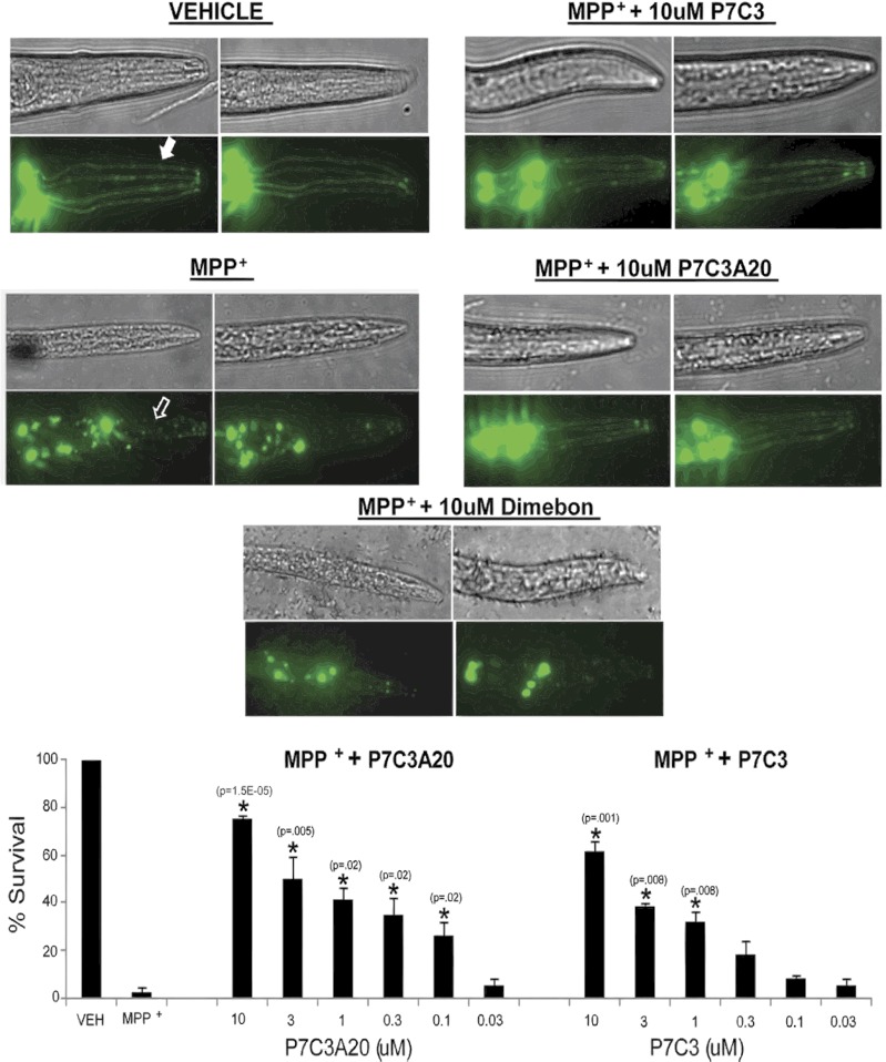 Fig. 4.