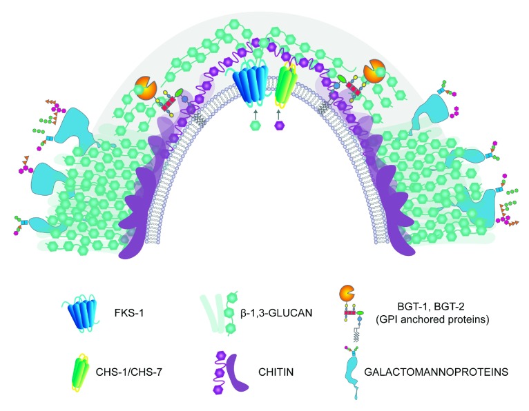 Figure 2. 